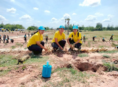 ร่วมกิจกรรมจิตอาสาพัฒนาประจำปี 2568 เนื่องในวันแม่แห่งชาติ พารามิเตอร์รูปภาพ 2